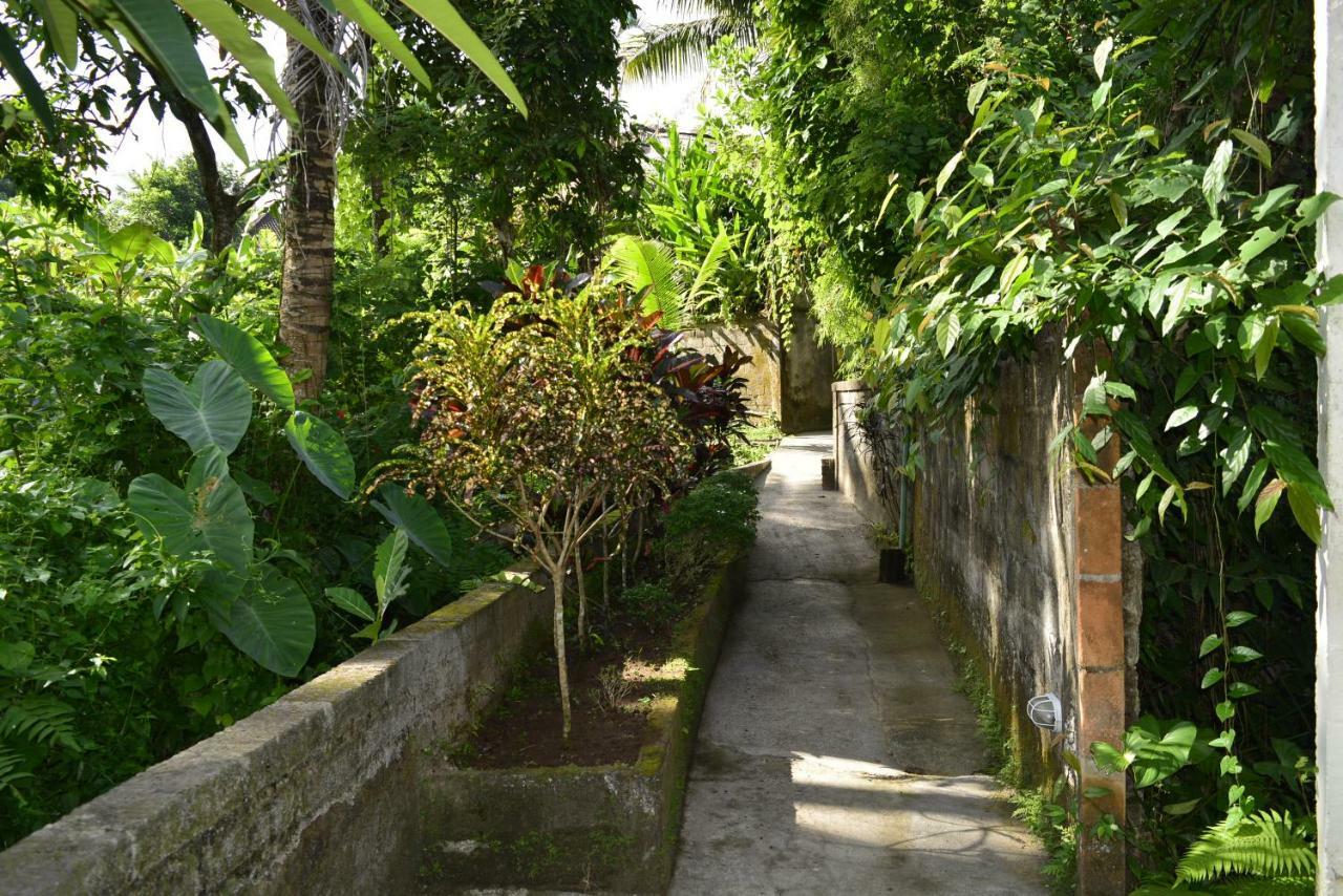 Villa Bindi Ubud Extérieur photo